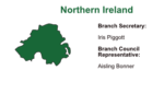 Northern Ireland branch icon test